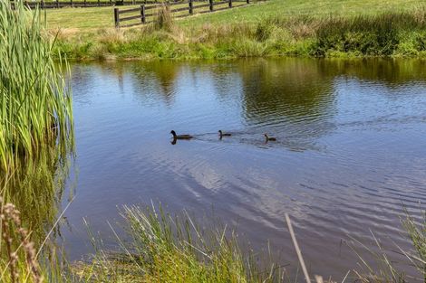 Photo of property in 6 Atkinsons Lane, Pegasus, 7612