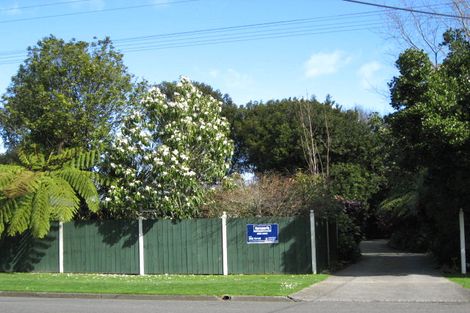 Photo of property in 64 Macarthur Street, Levin, 5510
