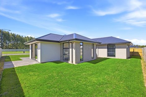 Photo of property in 41 Thirlwall Street, Woodend, 7610