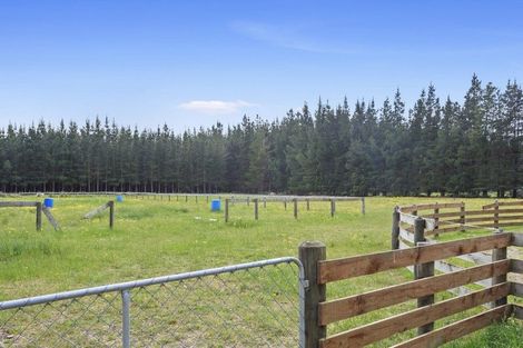 Photo of property in 82 Worlingham Road, Eyrewell, Rangiora, 7476