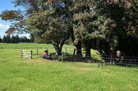 Photo of property in 90 Millars Road, Longbush, Carterton, 5792