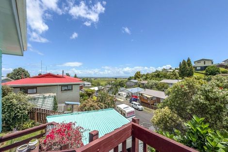 Photo of property in 104 Hays Place, Thames, 3500