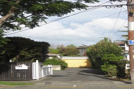 Photo of property in 46b Copeland Street, Hutt Central, Lower Hutt, 5011