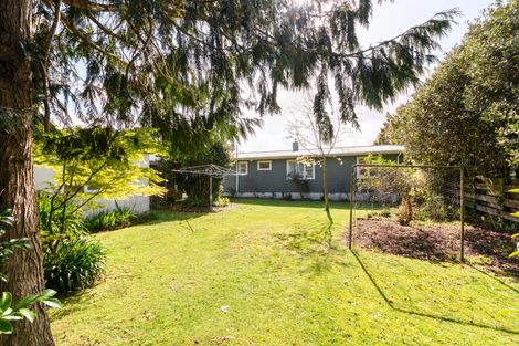 Photo of property in 195 The Terrace, Ashhurst, 4810