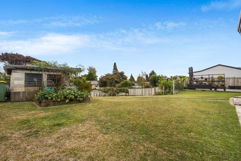 Photo of property in 14 Terrace Street, Putaruru, 3411