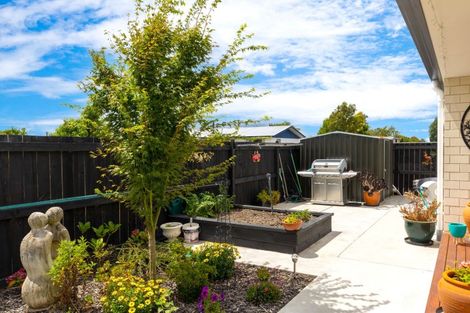 Photo of property in 43 Easthaven Place, Redwoodtown, Blenheim, 7201