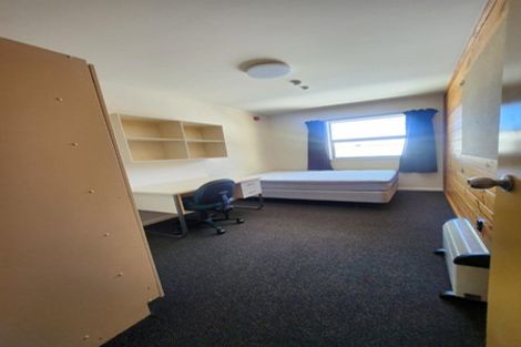 Photo of property in Drummond Street Flats, 21/19 Drummond Street, Mount Cook, Wellington, 6021