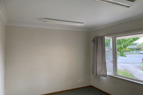Photo of property in 21 Stanley Street, Levin, 5510