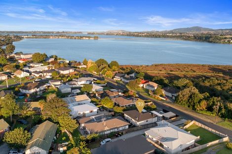 Photo of property in 39 Hampton Terrace, Parkvale, Tauranga, 3112
