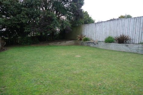 Photo of property in 17 Sholson Street, Putaruru, 3411