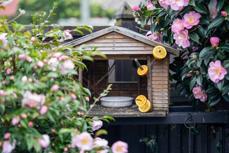 Photo of property in 24 Burns Street, Leamington, Cambridge, 3432