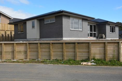 Photo of property in 47 Cyrus Street, Whalers Gate, New Plymouth, 4310