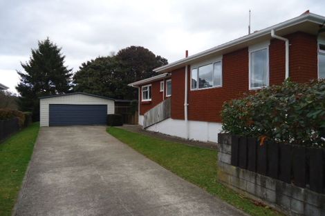 Photo of property in 17 Sholson Street, Putaruru, 3411