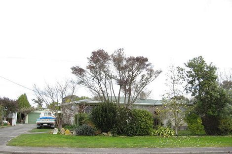 Photo of property in 21 Woburn Street, Waipukurau, 4200