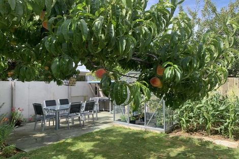 Photo of property in 69 Waenga Drive, Cromwell, 9310