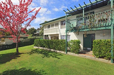 Photo of property in 19 Muritai Crescent, Havelock North, 4130