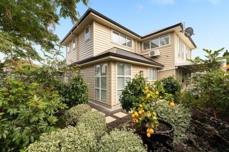 Photo of property in 31b Harvey Street, Tauranga South, Tauranga, 3112