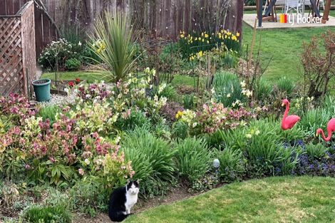 Photo of property in 17 Lorne Street, Mosgiel, 9024