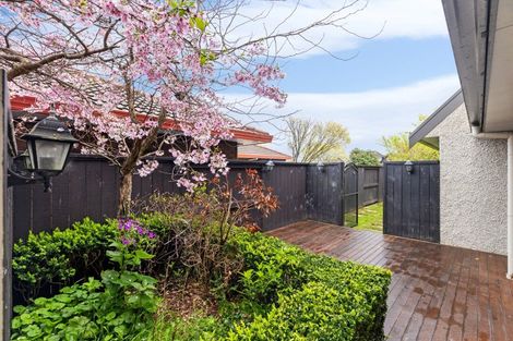 Photo of property in 113 John F Kennedy Drive, Milson, Palmerston North, 4414