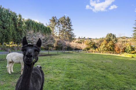 Photo of property in 13b I'anson Road, Minden, Tauranga, 3179