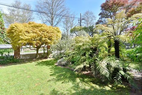 Photo of property in 237 Waimea Terrace, Beckenham, Christchurch, 8023