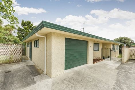 Photo of property in 24a Windsor Street, Terrace End, Palmerston North, 4410