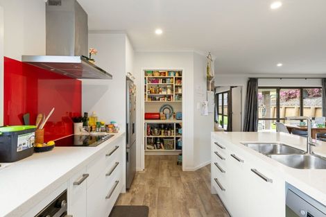 Photo of property in 48 Sylvester Crescent, Flagstaff, Hamilton, 3210