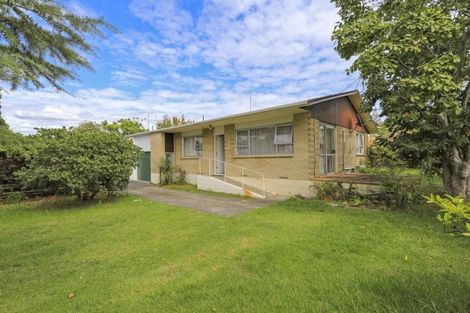 Photo of property in 110a Hinewa Road, Otumoetai, Tauranga, 3110