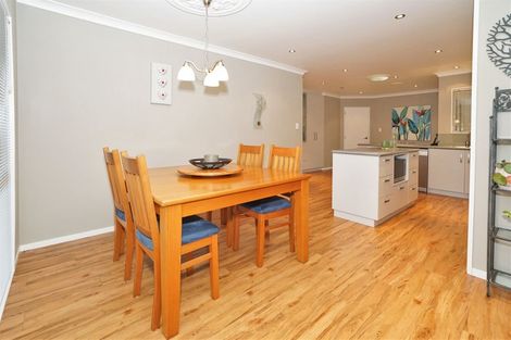 Photo of property in 36 Macmurdo Avenue, Glenview, Hamilton, 3206