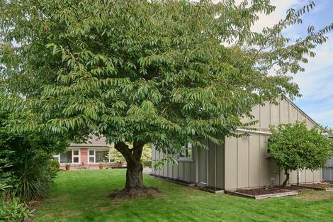 Photo of property in 115 Saint Martins Road, Saint Martins, Christchurch, 8022