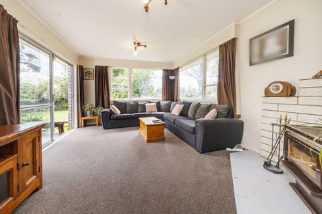 Photo of property in 95 Winchester Street, Ashhurst, 4810