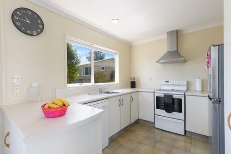 Photo of property in 16b Bristol Avenue, Brookfield, Tauranga, 3110