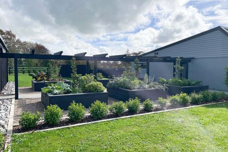 Photo of property in 18 Orchard Place, Matamata, 3472