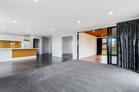 Photo of property in 46 Contrail Street, Wigram, Christchurch, 8042