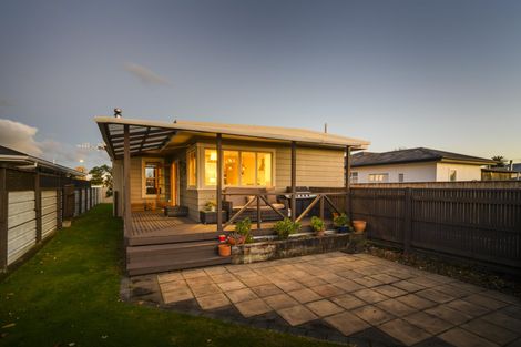 Photo of property in 30 Guy Avenue, Takaro, Palmerston North, 4410