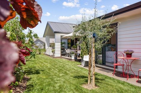 Photo of property in 20 William Paul Street, Cambridge, 3434