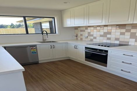 Photo of property in 99 Barkers Road, Methven, 7730