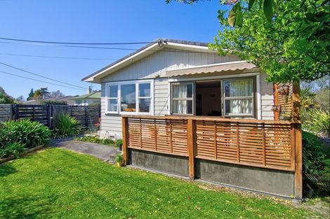 Photo of property in 28 Iorns Street, Masterton, 5810