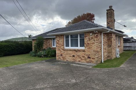 Photo of property in 48 James Laurie Street, Henderson, Auckland, 0612