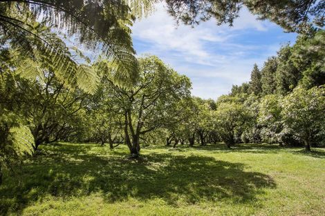 Photo of property in 314 Busby Road, Tahawai, Katikati, 3170