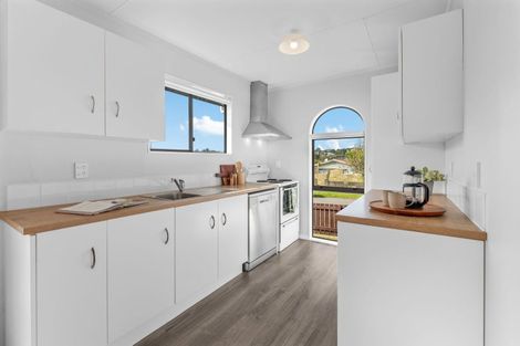 Photo of property in 51 Desert Gold Street, Ascot Park, Porirua, 5024