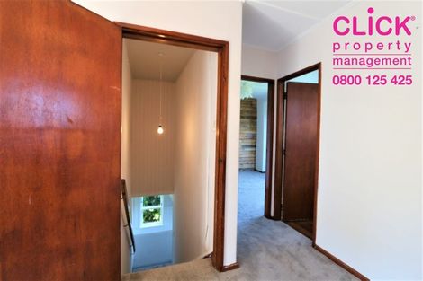 Photo of property in 86 Columba Avenue, Calton Hill, Dunedin, 9012