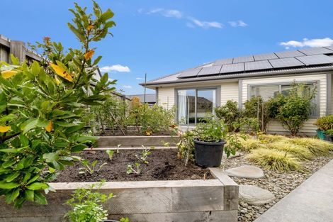 Photo of property in 5 Hollard Crescent, Lincoln, 7608