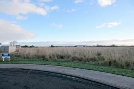 Photo of property in 8 Reremoana Close, Hawera, 4610