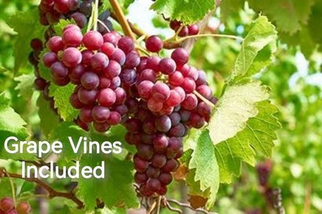 Photo of property in 165 Cambridge Street, Levin, 5510