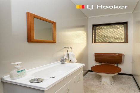 Photo of property in 103 Shetland Street, Wakari, Dunedin, 9010