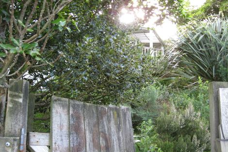 Photo of property in 36 Plunket Street, Kelburn, Wellington, 6012