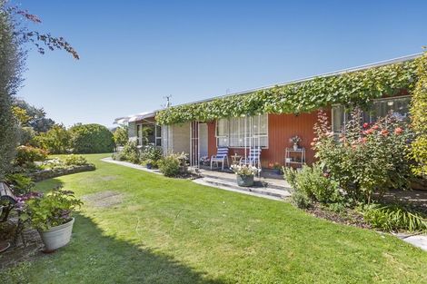 Photo of property in 37 Eureka Street, Alexandra, 9320