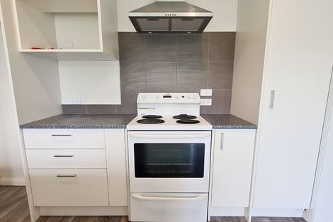 Photo of property in 22 Mavin Road, Hoon Hay, Christchurch, 8025