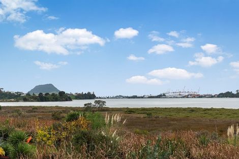 Photo of property in 1 Blenheim Place, Judea, 3110